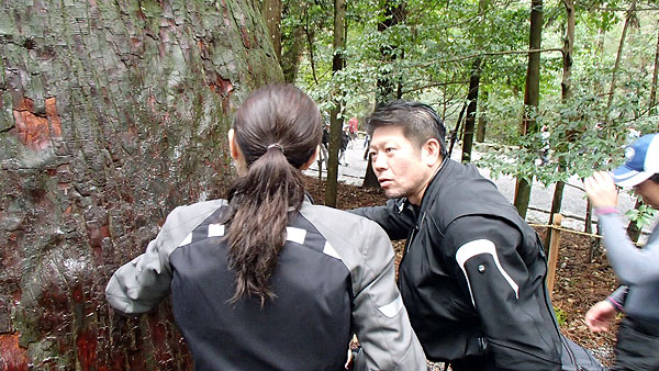 神木（？）にて何時ものタッチ